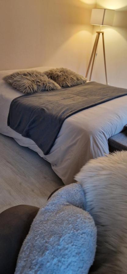 Cosy Appartement Complet Centre-Ville Montbéliard Exteriör bild